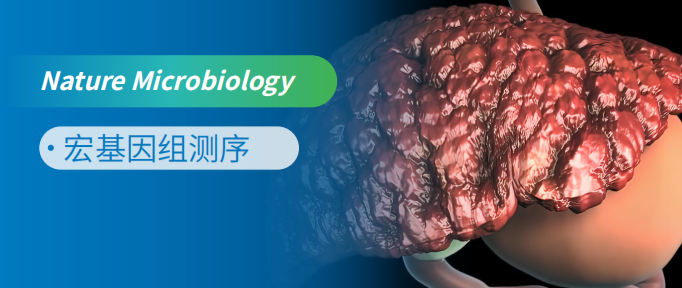 狄氏副拟杆菌使用膳食菊粉顺利获得其代谢物十五烷酸抑制NASH
