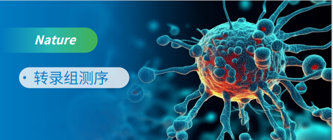 RNA-seq助力癌细胞凋亡研究登顶Nature！！！