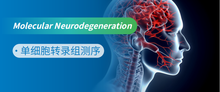 单细胞转录组研究新机制——APO4 顺利获得增加有氧糖酵解降低雌性小鼠能量消耗和葡萄糖氧化