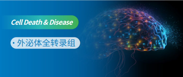 外泌体全转录组测序研究脑胶质瘤外泌体促肿瘤双重作用新机制！