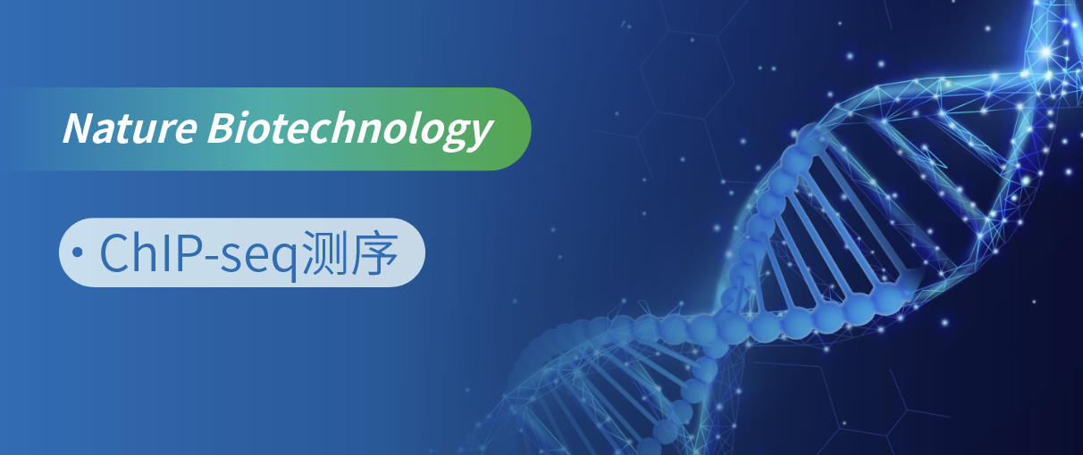 顺利获得锌指结构域插入激活特定 DNA 位点的重组酶