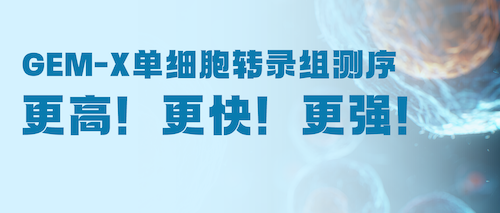 限时抢鲜 | 升级GEM-X单细胞转录组，成就数据质量新高