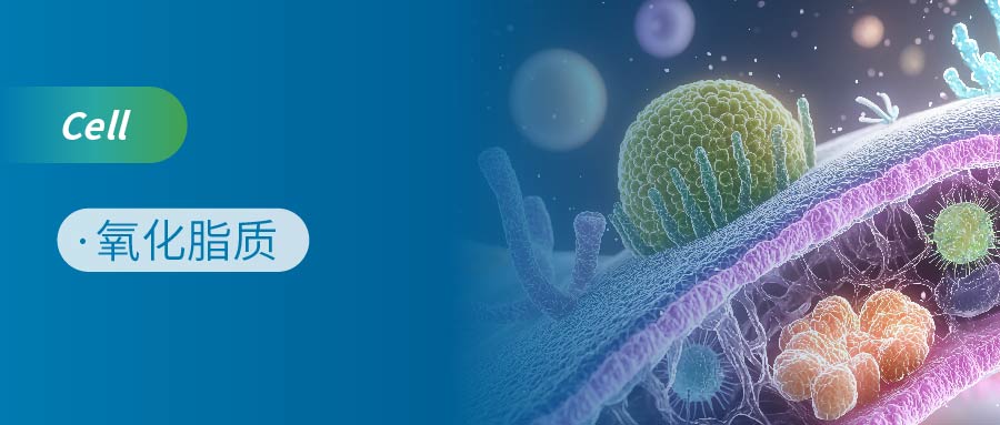 威尼·至尊国际(中国)氧化脂质产品助力浙大团队发表Cell研究：破译铁死亡“铁卫士”